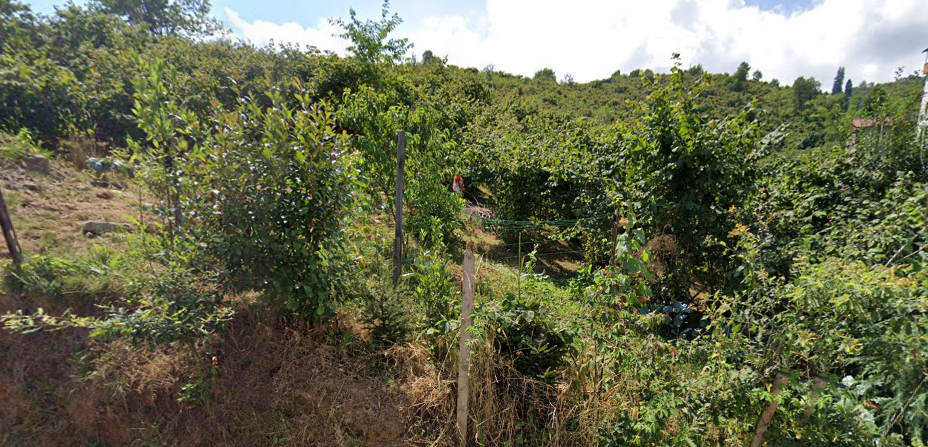 MABELDEN KAT KARŞILIĞI YOMRA SANCAK DA ARSA